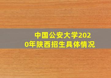 中国公安大学2020年陕西招生具体情况