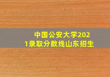 中国公安大学2021录取分数线山东招生