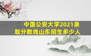 中国公安大学2021录取分数线山东招生多少人