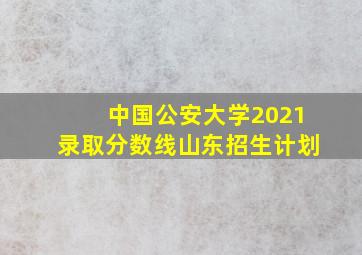 中国公安大学2021录取分数线山东招生计划