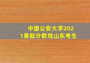 中国公安大学2021录取分数线山东考生