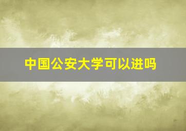 中国公安大学可以进吗