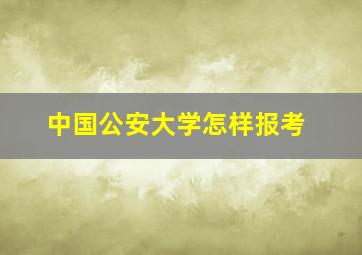 中国公安大学怎样报考