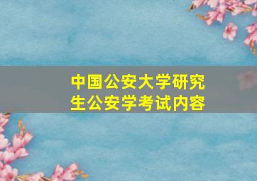 中国公安大学研究生公安学考试内容