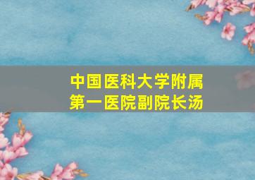 中国医科大学附属第一医院副院长汤