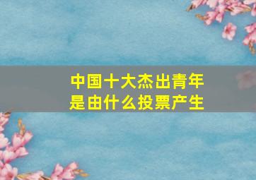 中国十大杰出青年是由什么投票产生