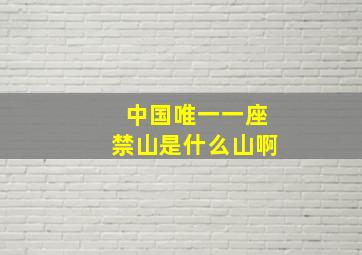 中国唯一一座禁山是什么山啊