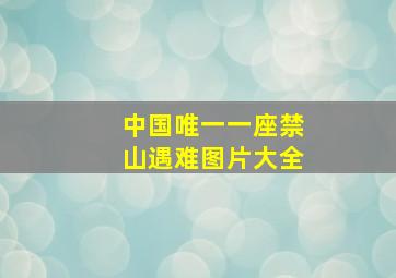 中国唯一一座禁山遇难图片大全