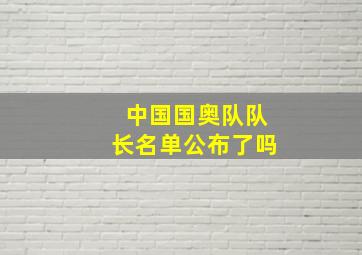 中国国奥队队长名单公布了吗