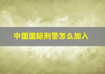 中国国际刑警怎么加入