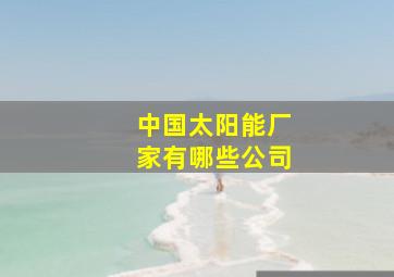 中国太阳能厂家有哪些公司