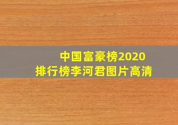 中国富豪榜2020排行榜李河君图片高清