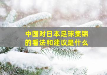 中国对日本足球集锦的看法和建议是什么