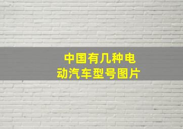 中国有几种电动汽车型号图片