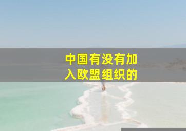 中国有没有加入欧盟组织的