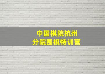 中国棋院杭州分院围棋特训营