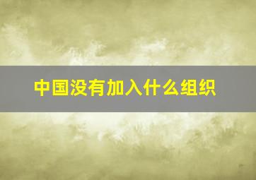 中国没有加入什么组织