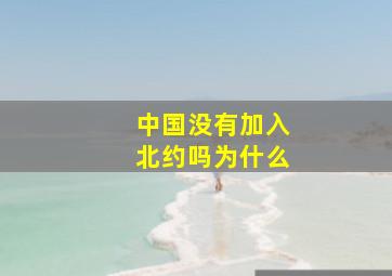 中国没有加入北约吗为什么