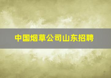 中国烟草公司山东招聘