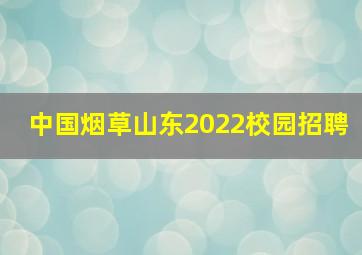 中国烟草山东2022校园招聘