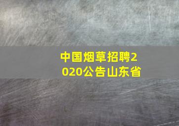 中国烟草招聘2020公告山东省