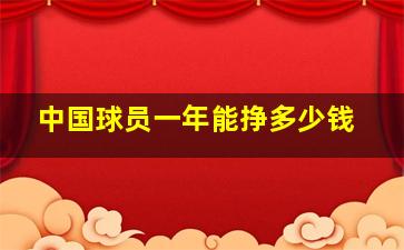 中国球员一年能挣多少钱