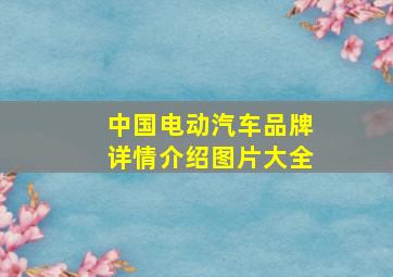 中国电动汽车品牌详情介绍图片大全