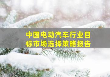 中国电动汽车行业目标市场选择策略报告