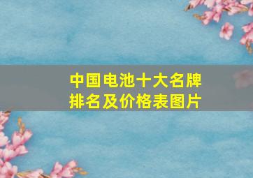 中国电池十大名牌排名及价格表图片