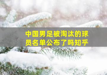 中国男足被淘汰的球员名单公布了吗知乎