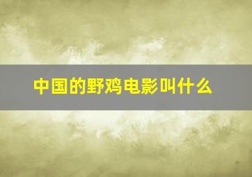 中国的野鸡电影叫什么