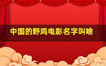 中国的野鸡电影名字叫啥