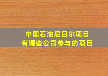 中国石油尼日尔项目有哪些公司参与的项目