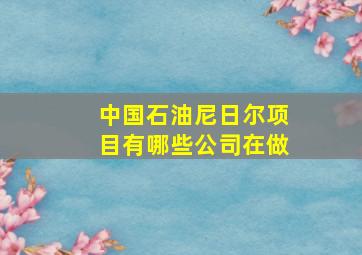 中国石油尼日尔项目有哪些公司在做