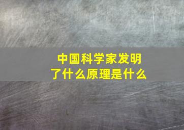 中国科学家发明了什么原理是什么