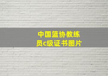 中国篮协教练员c级证书图片