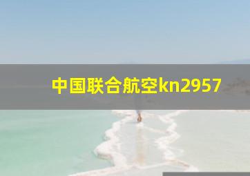 中国联合航空kn2957