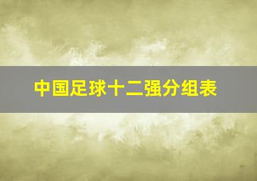 中国足球十二强分组表