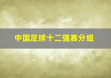 中国足球十二强赛分组