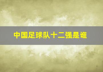 中国足球队十二强是谁