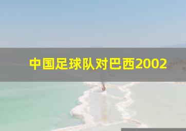 中国足球队对巴西2002