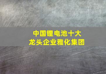 中国锂电池十大龙头企业雅化集团