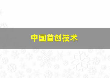 中国首创技术