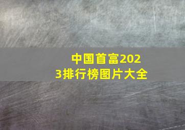 中国首富2023排行榜图片大全