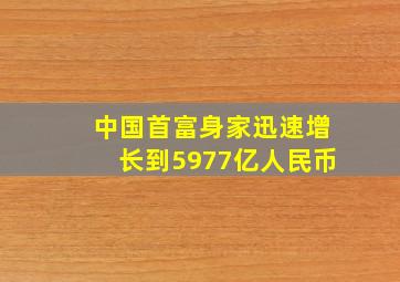 中国首富身家迅速增长到5977亿人民币