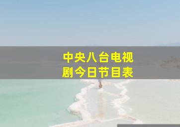 中央八台电视剧今日节目表