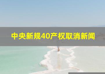 中央新规40产权取消新闻