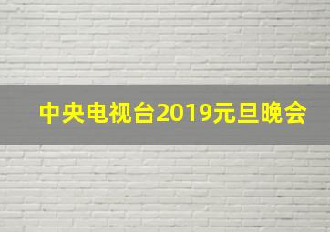 中央电视台2019元旦晚会