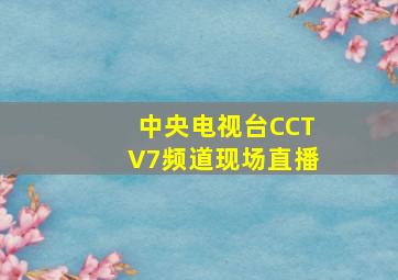 中央电视台CCTV7频道现场直播