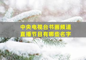 中央电视台书画频道直播节目有哪些名字